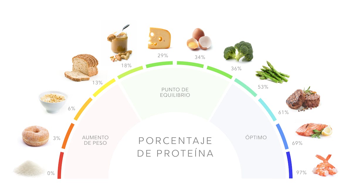 porcentaje-de-proteina