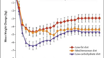 Atkins bästa bantningen, igen