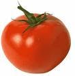tomat21