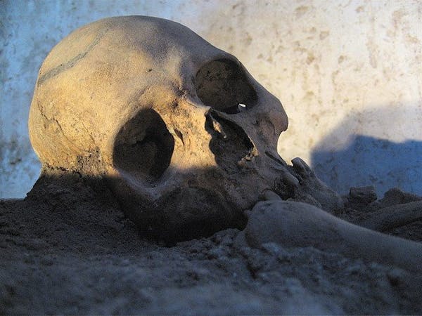 298548032_522ca1ec52_z