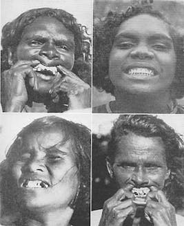 Australien-fig54 Australien-fig54