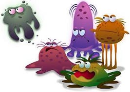 Elaka tarmbakterier? Elaka tarmbakterier?