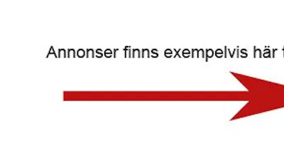Hur man kan "bota" diabetes typ 2