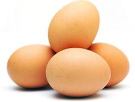 Ägg Ägg