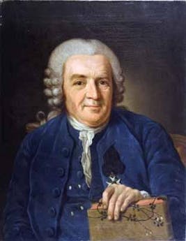 Carl von Linné Carl von Linné