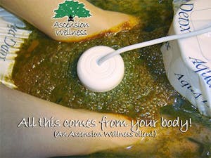 Månadens hälsobluff: Aqua Detox