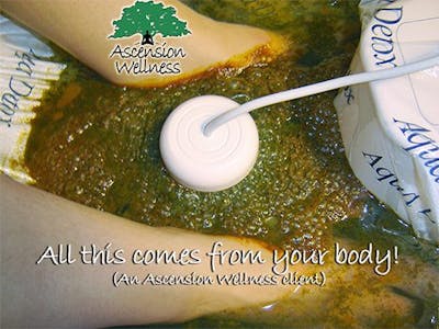 Aqua Detox Aqua Detox