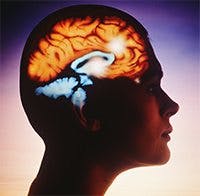 Omega 3 och hjärnan Omega 3 och hjärnan