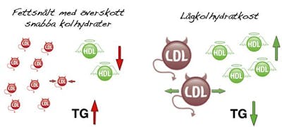 Kolesterol = LDL + HDL + 0,45 x Triglycerider Kolesterol