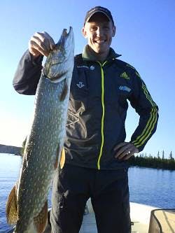 björn ferry diet
