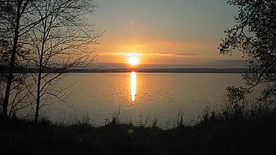 Om D-Vitamin i Illustrerad vetenskap