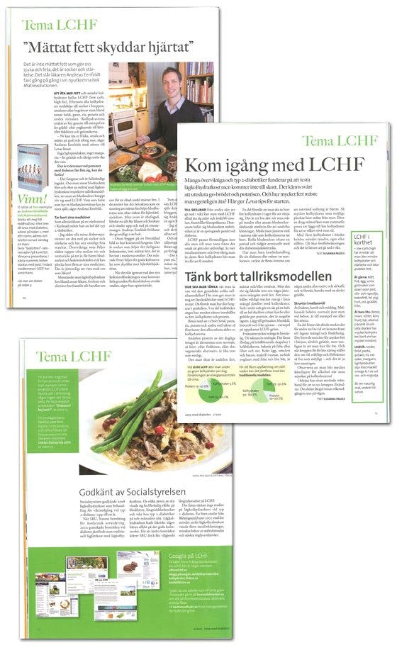 Leva med Diabetes #2, 2011 Leva med Diabetes #2, 2011