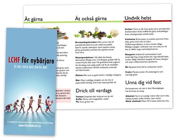 Nybörjarfoldrar om LCHF Nybörjarfoldrar2