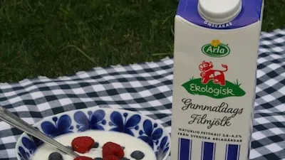 Dags för fetare fil