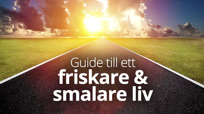 friskaresmalareliv