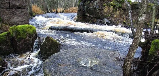 Över ån efter vatten: Kirurgi mot diabetes