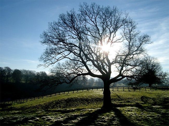 Höstsol ger inte D-vitamin Vintersol