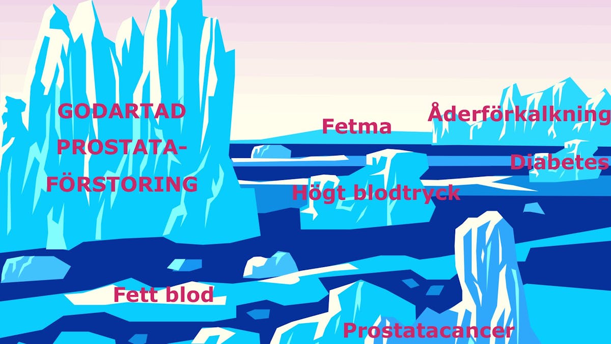 LCHF, prostatan och metabolt syndrom