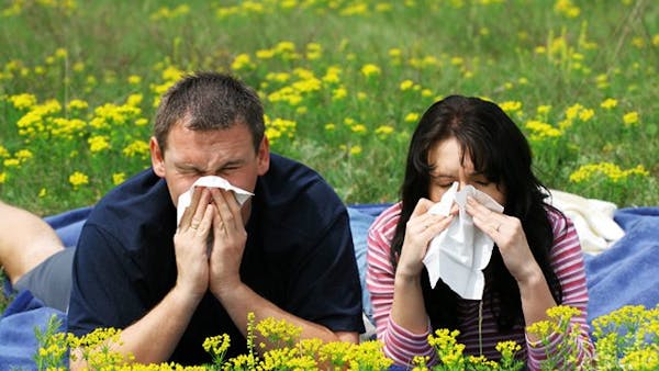 Hjälper D-vitamin mot pollenallergi?