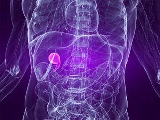 Gallbladder Gallbladder