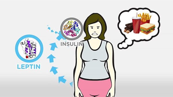 Huvudskälet till fetma: Insulin