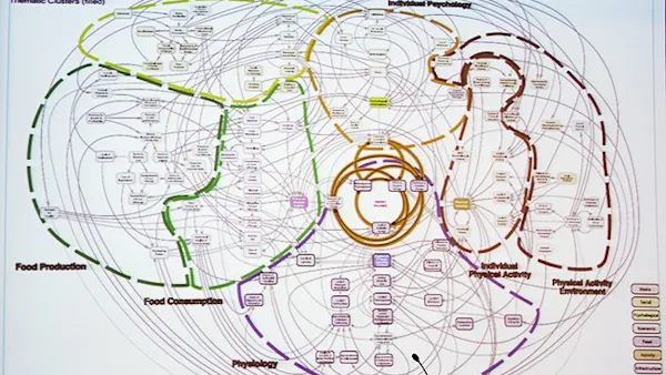 Avgör dina gener hur du bör banta?