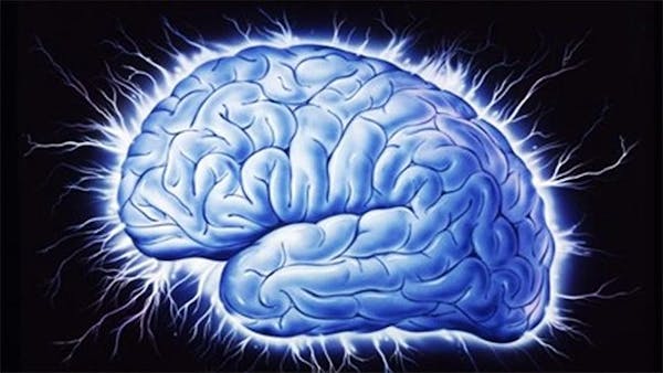 Professor: Lugn, du blir inte dum utan kolhydrater