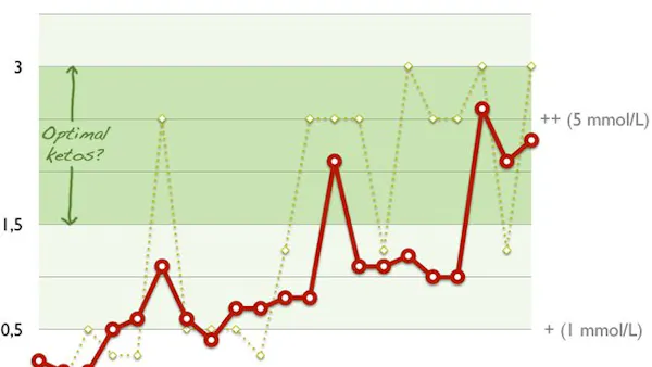 Experiment: Optimal ketos för viktminskning och prestationsökning
