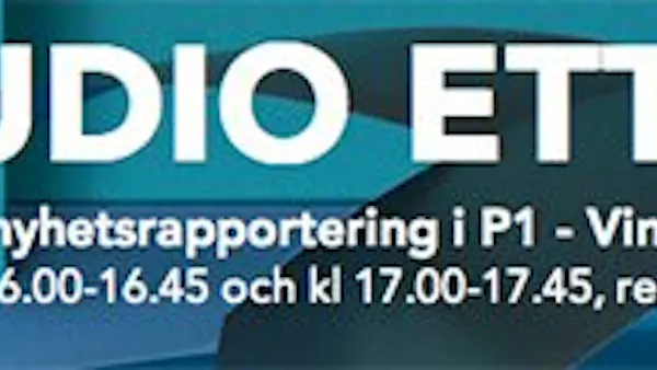 Radioinslaget med professor Marcus och mig på nätet