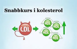 Högermarginal-Kolesterol