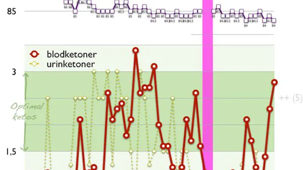 Slutrapport: Två månaders strikt LCHF och ketonmätning
