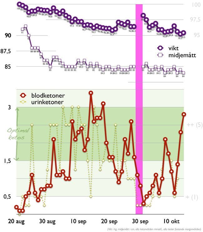 Två månader i optimal ketos