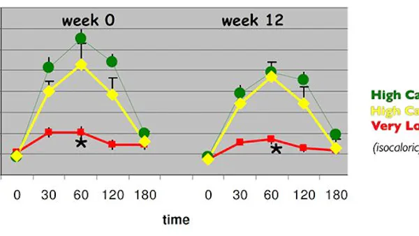 Visst sänker LCHF-mat ditt insulin kraftigt!