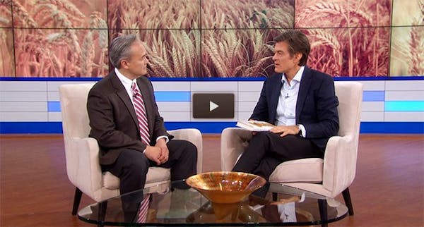 Wheat Belly på Dr Oz Wheat Belly på Dr Oz