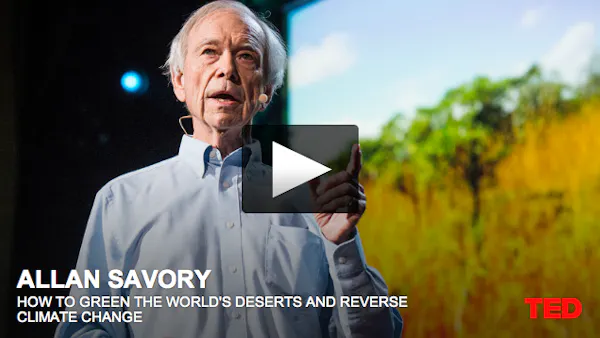 Hur kor kan göra öknen grön och radera ut växthuseffekten