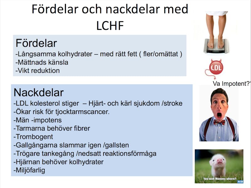 nackdelar med lchf nackdelar med lchf