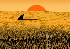 Ny studie: Är dagens vetebröd farligt för din hälsa?