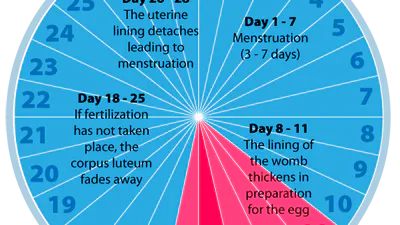 Ytterligare ett blödigt inlägg om LCHF