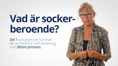 Vad är sockerberoende? – kurs med Bitten Jonsson