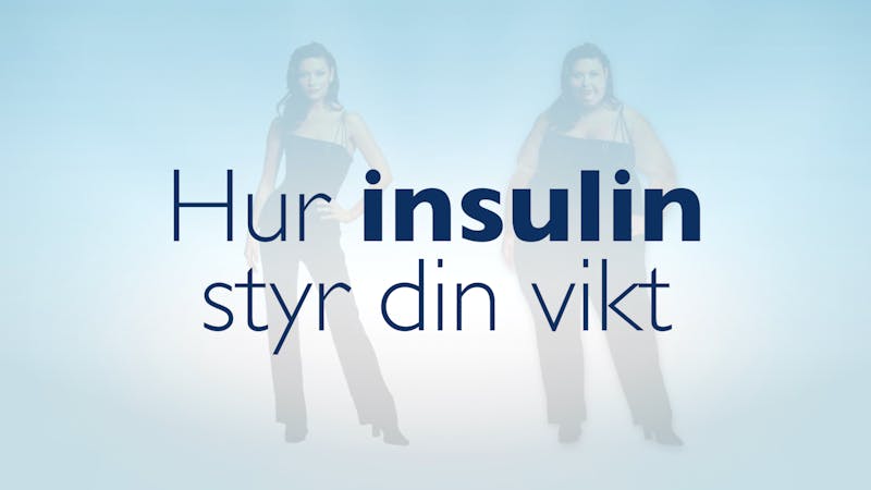 Video - Hur insulin styr din vikt3