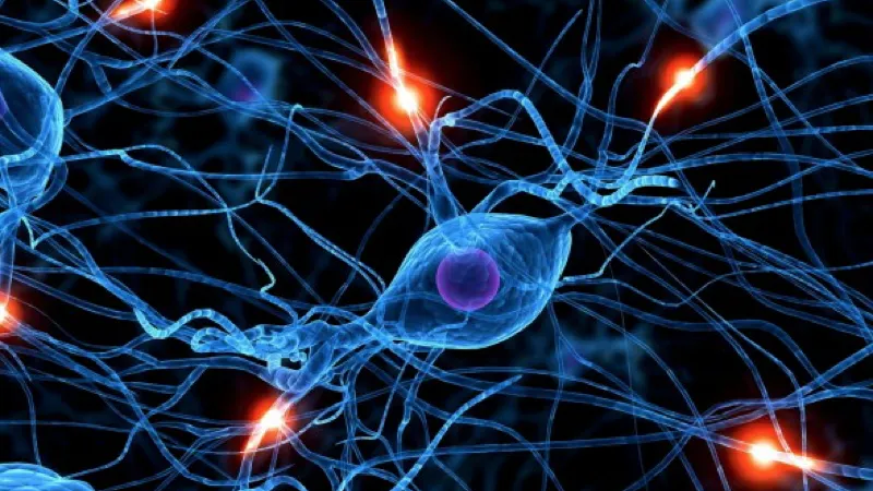 "Domen blev medicinering i minst 10 år"