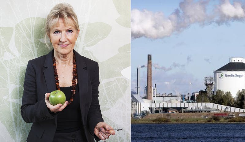 Hellenius och sockerindustrin