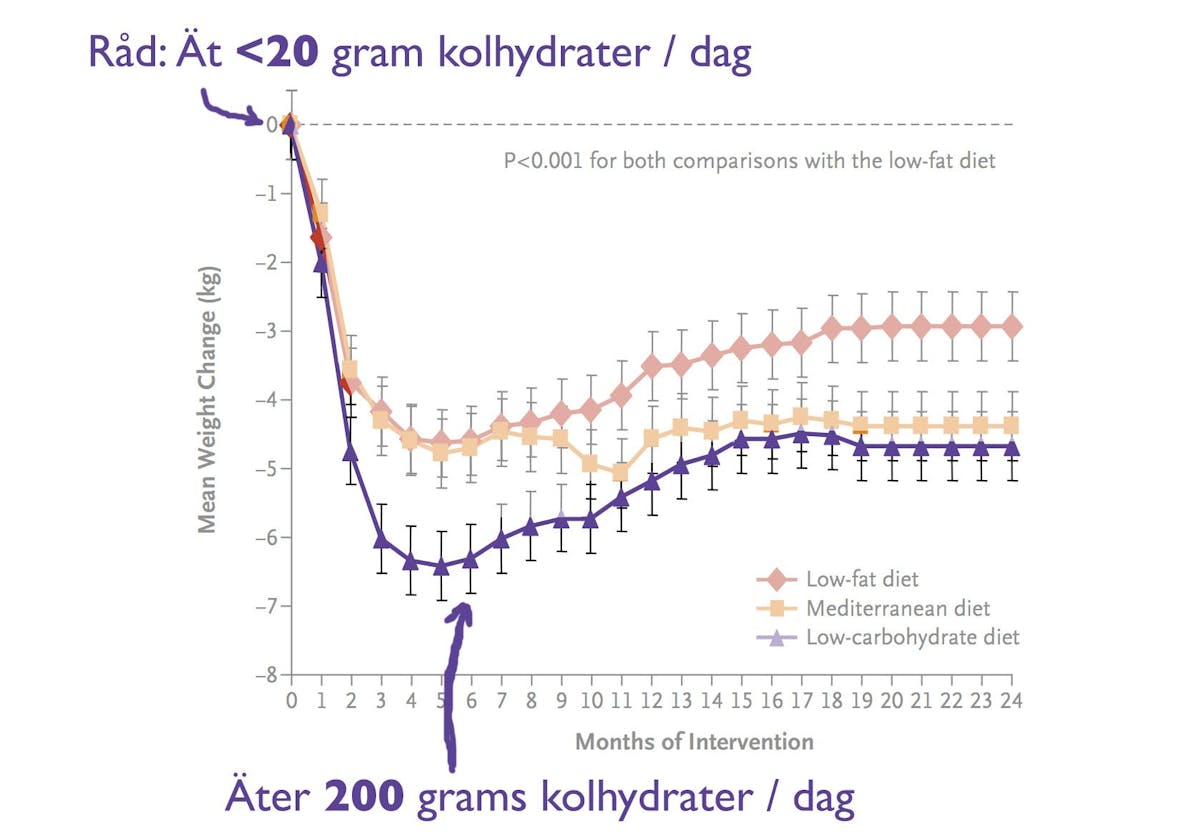 Slutar Alla Dieter Att Fungera I Langden Diet Doctor