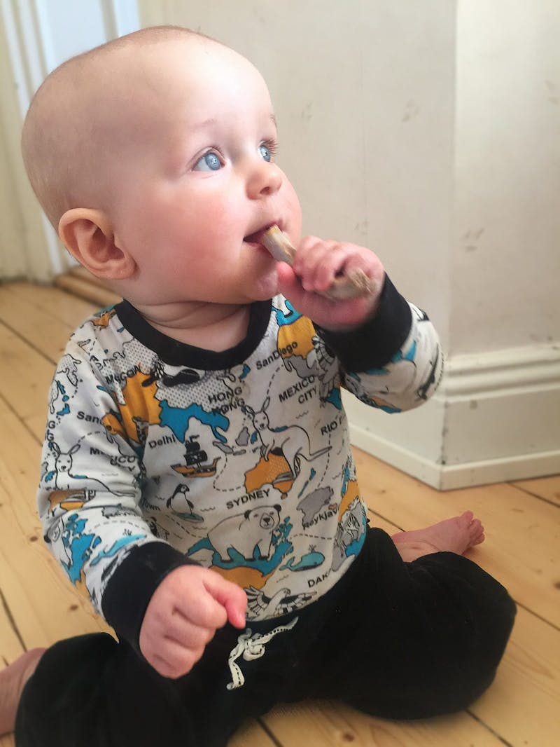 Paleobaby