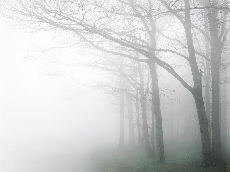 Cramer_Charles_DawnFogShenandoah_1994