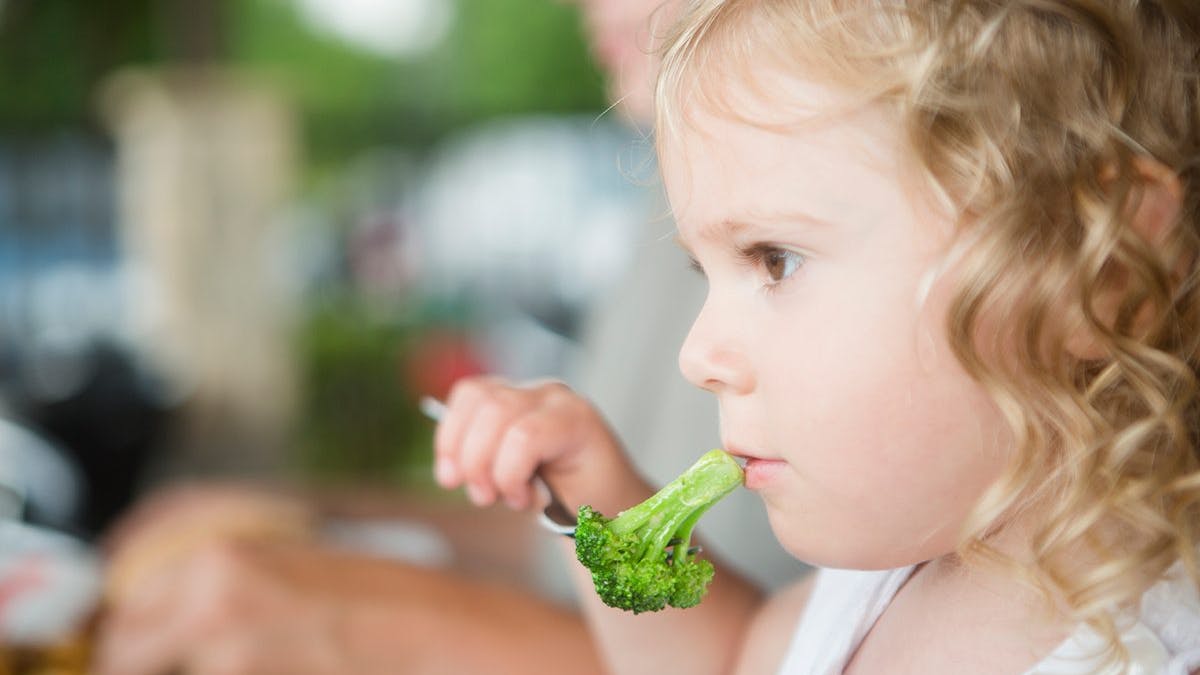 LCHF för barn – att ge sina barn riktig mat
