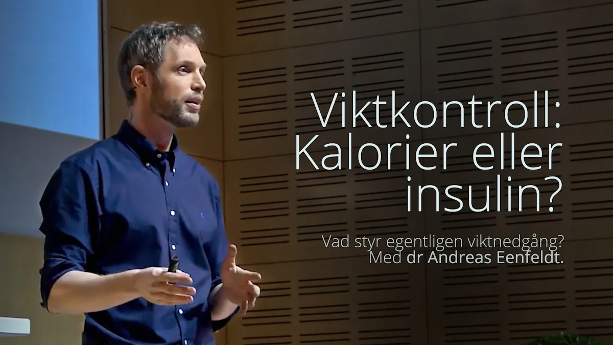 Styrs vikten av kalorier eller insulin?