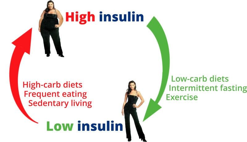 High-Low-Insulin3-800×4621