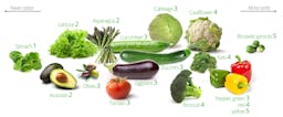 Kolhydrater i grönsaker – de bästa och de sämsta