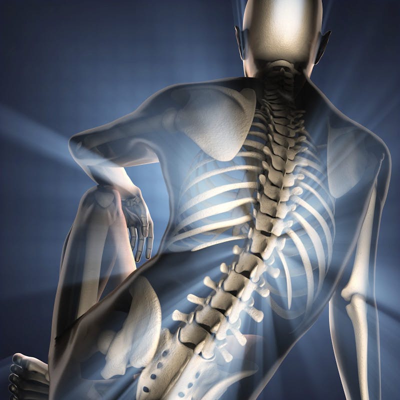 iStock_000077852307_XXXLarge-1600x1600